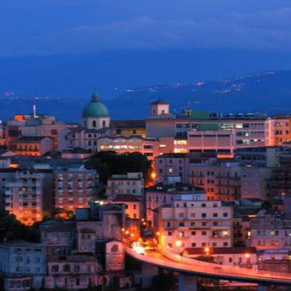 Meet your Posher, Gussie - Picture 1 of 1